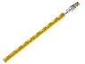 5m Aluminium Staff